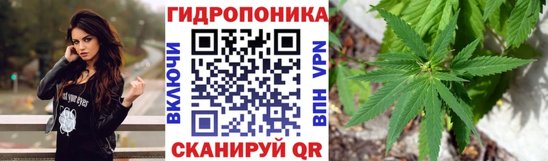 Шишки марихуана конопля Георгиевск
